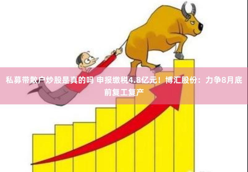 私募带散户炒股是真的吗 申报缴税4.8亿元！博汇股份：力争8月底前复工复产