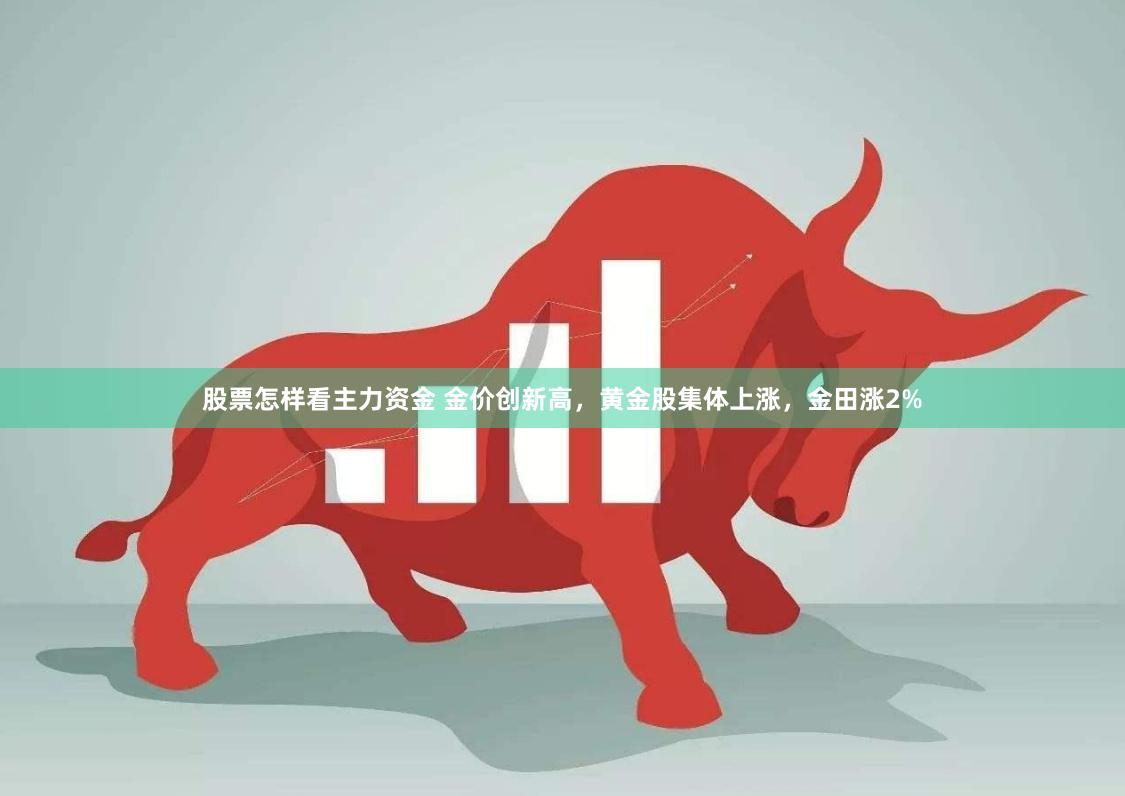 股票怎样看主力资金 金价创新高，黄金股集体上涨，金田涨2%