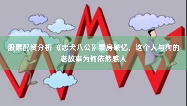 股票配资分析 《忠犬八公》票房破亿，这个人与狗的老故事为何依然感人